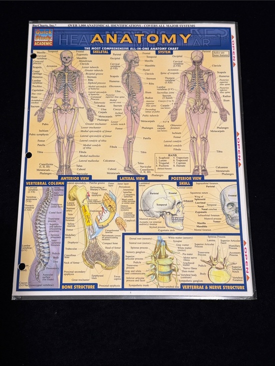 BarCharts, Inc Other - Bar charts, Inc Anatomy Chart and Biology Chart Quick Study Guides